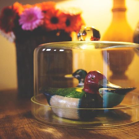 Flemish Cottage 오스트캄프 외부 사진