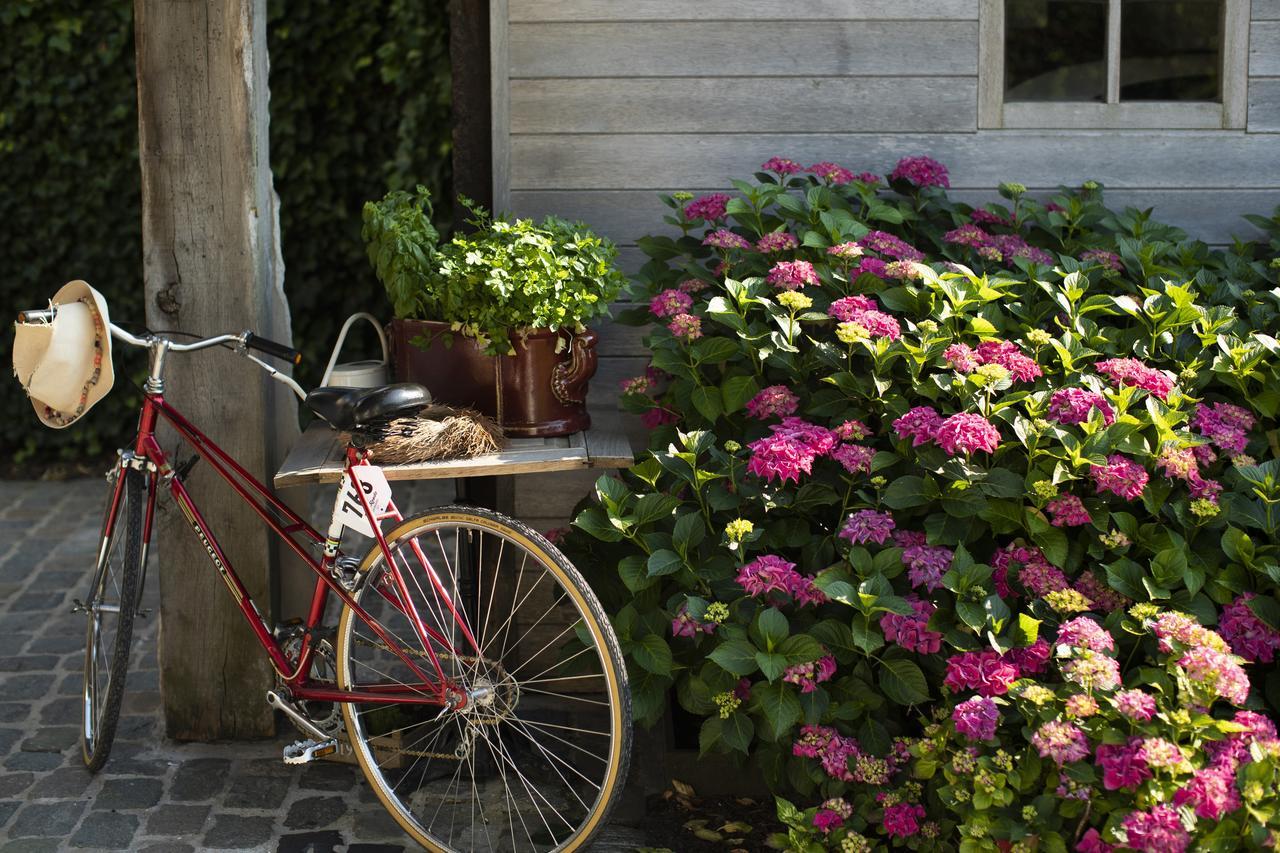 Flemish Cottage 오스트캄프 외부 사진